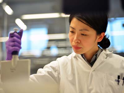 flipLightBox Image 1